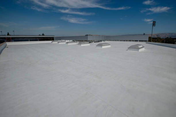 Best Roof Moss and Algae Removal  in Decatur, TX